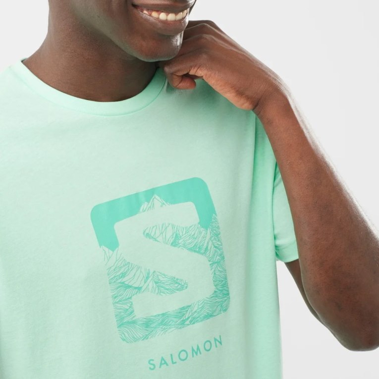 Camiseta Salomon Outlife Logo Curta Sleeve Masculino Menta | PT K46385